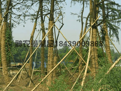客戶現(xiàn)場