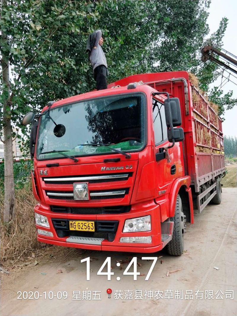 U型草支墊發(fā)貨現(xiàn)場(chǎng)