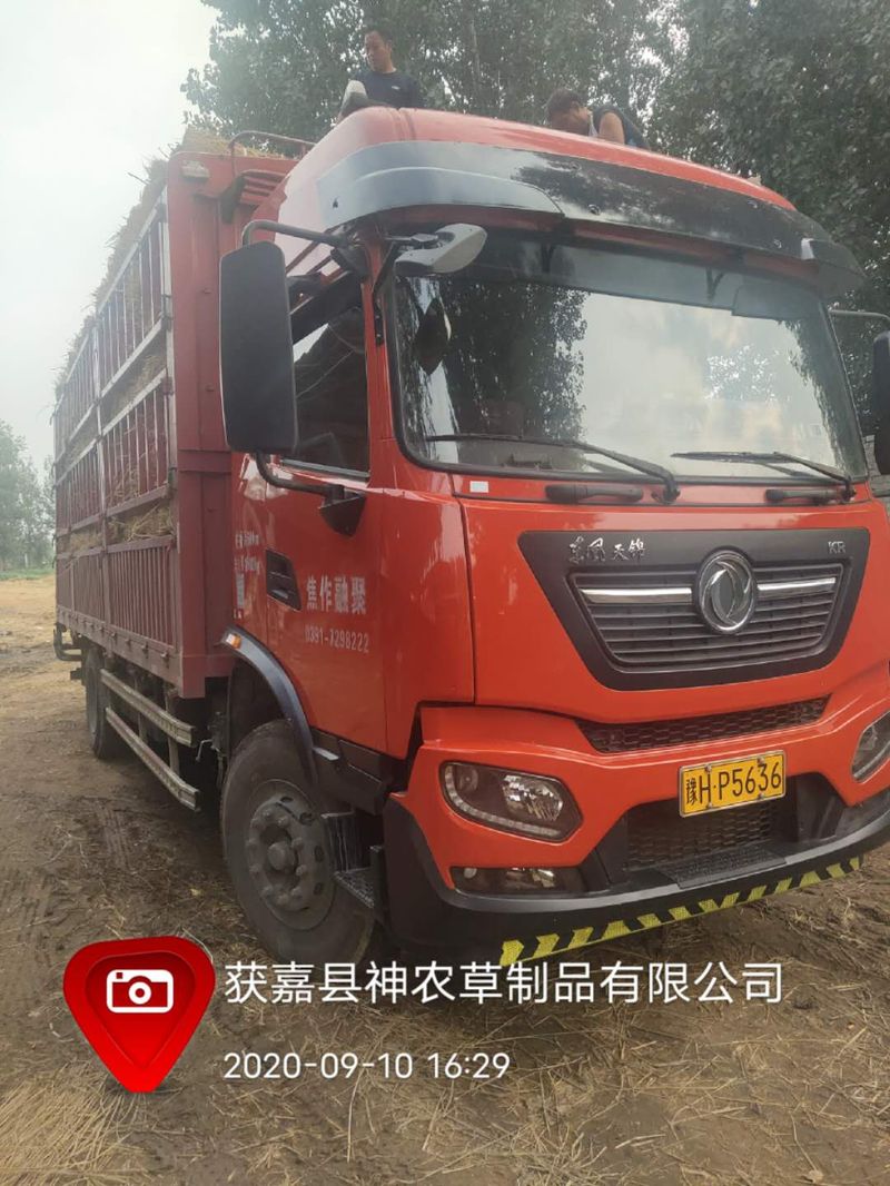 U型草支墊發(fā)貨現(xiàn)場